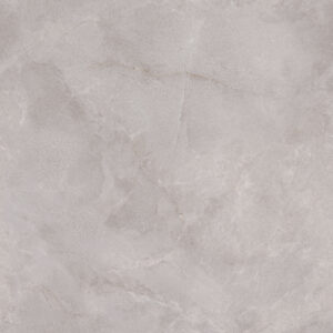 pjf83113a arctic surf clam