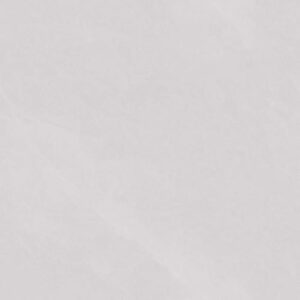 pjj88107a