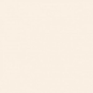 PJL808C01A Custard pjl808c01a custard