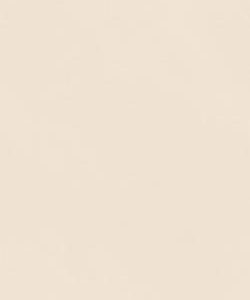 pjj1285y01a custard